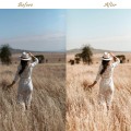 80 Natural LIGHTROOM Presets, Spring Outdoor Preset, Creamy Preset, Bohemian Preset, Warm Light Filter, Mobile Preset, Bright Desktop Preset