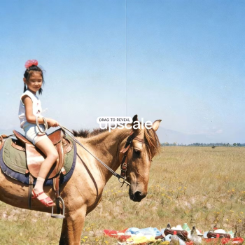 Topaz Gigapixel AI 7.1.4 (Win 64-bit)