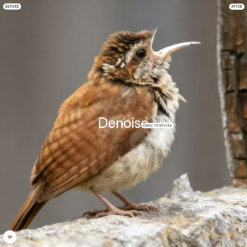 Topaz Photo AI 3.0.3